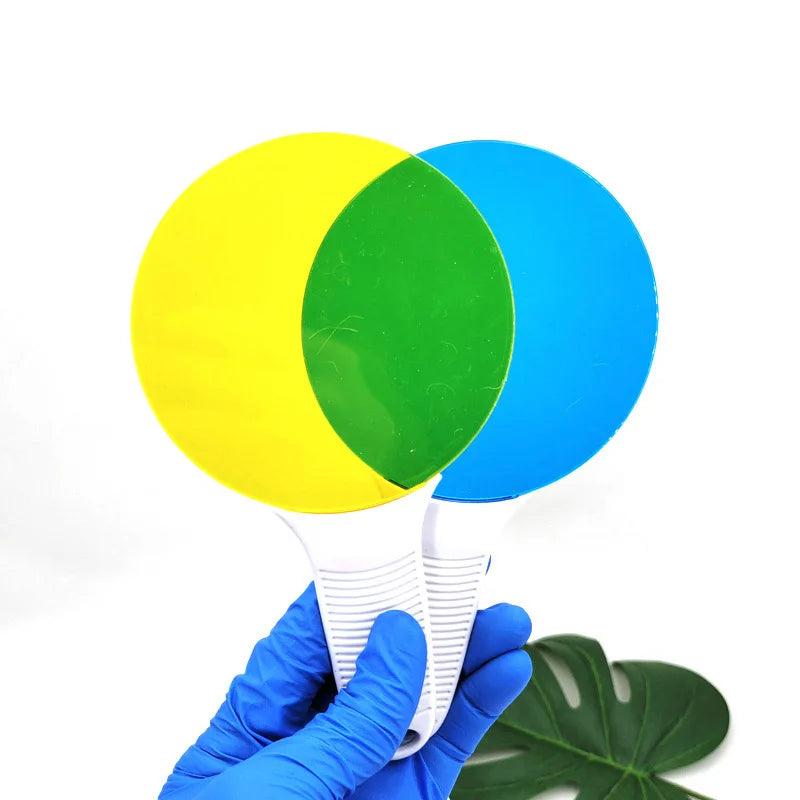 Montessori Color Discovery